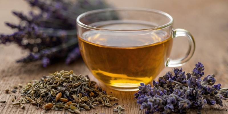 A calming cup of herbal tea with a dried star anise pod, surrounded by lavender and chamomile flowers