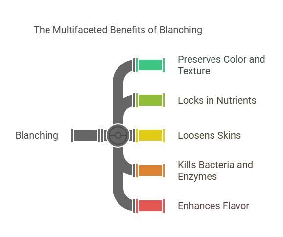 Why Blanch_ The Purpose and Benefits of Blanching 